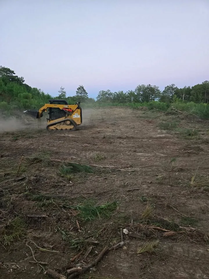 Equipment clearing an overgrown property